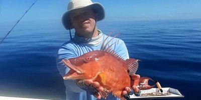 Fishing Charter Sarasota | 4 to 9 Hour Charter Trip